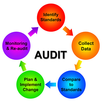 Auditing