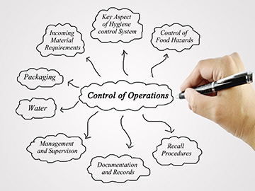 Project Implementation